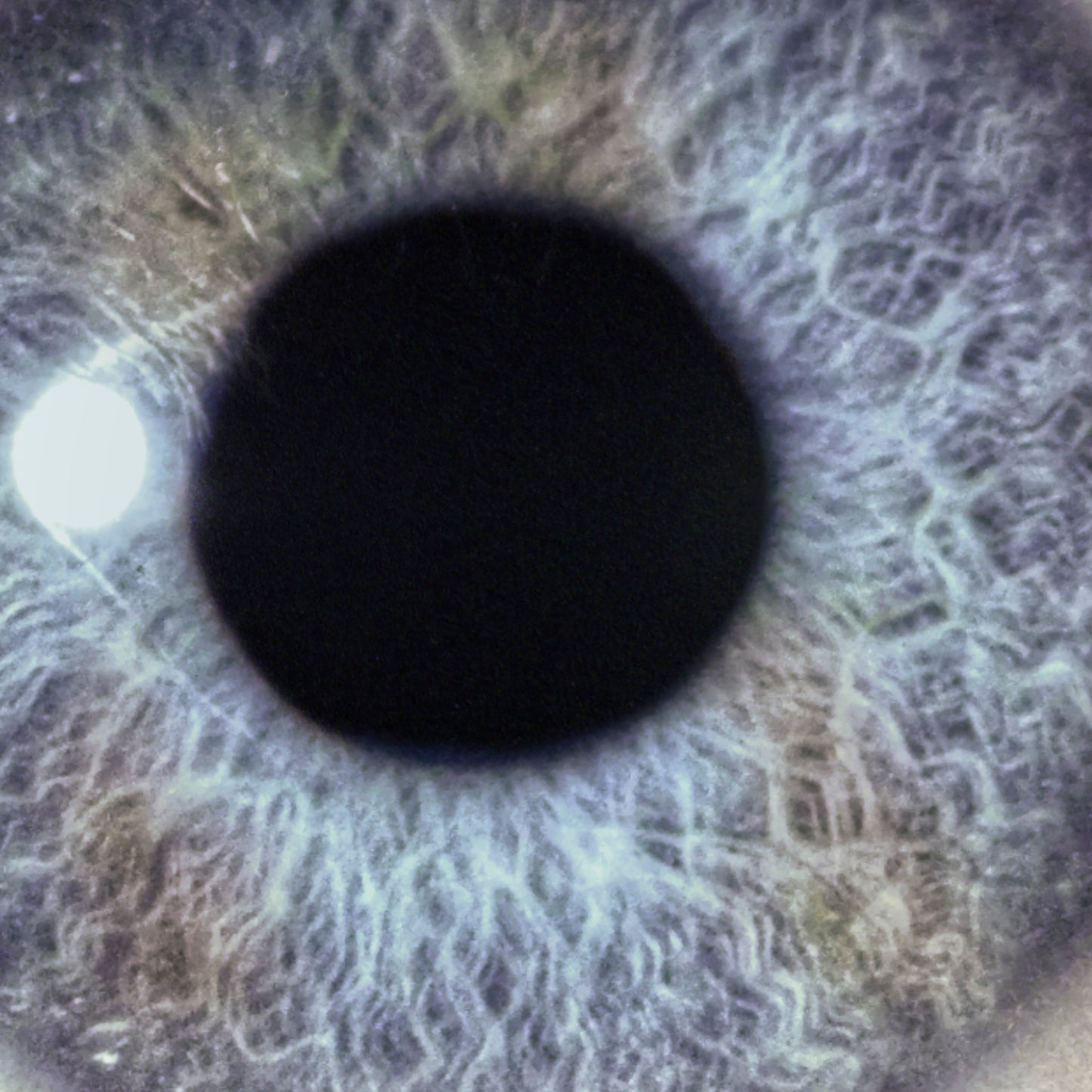 PRE-ORDER (Shipping 6th of March) Dan Swanö - Moontower - Double CD (Re-issue 2026 - Limited Edition) Signed by Dan Swanö